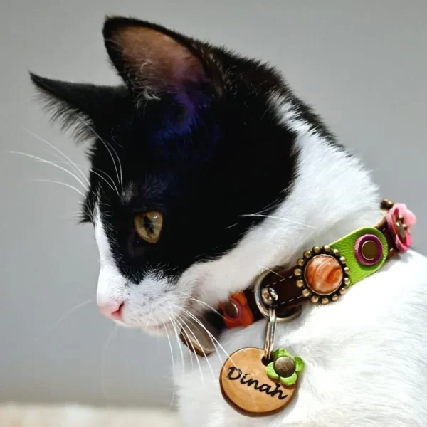 Cat Dinah is wearing an olive wooden cat tag matching our vintage style cat collar with pink rose, flowers and stones.