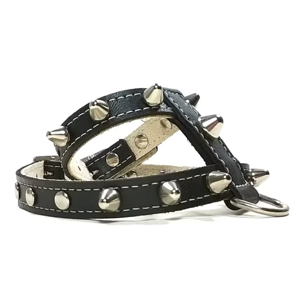 Lateral side of studded punk spiked black leather dog harness.